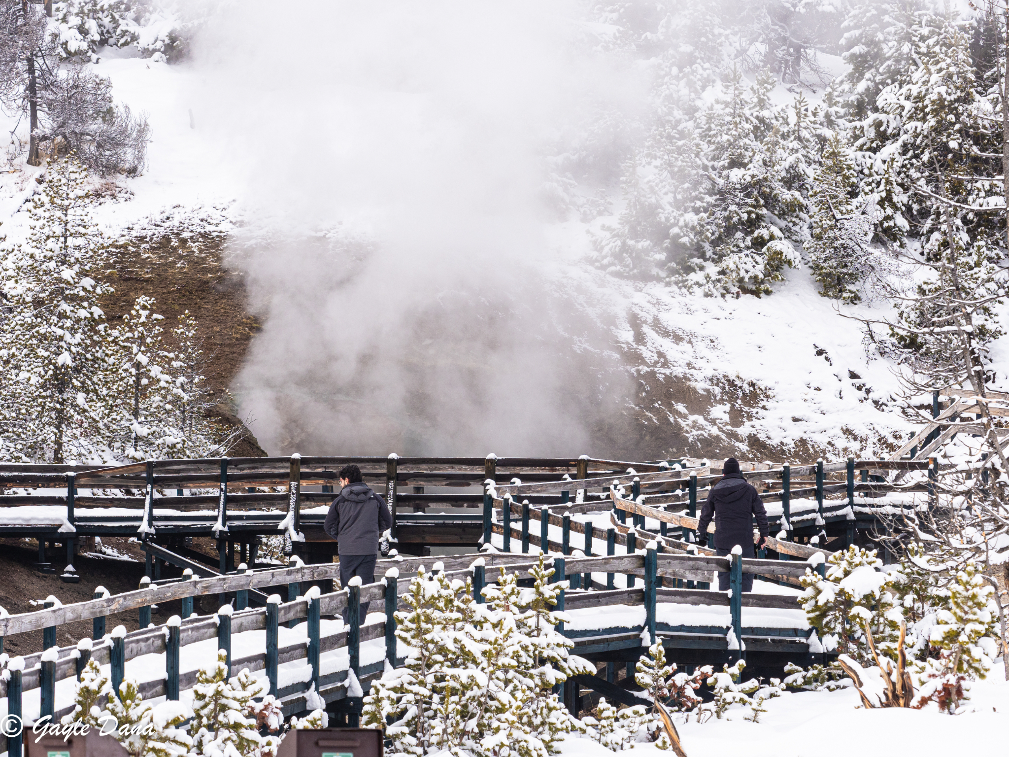 Boardwalk with Steam Vent
